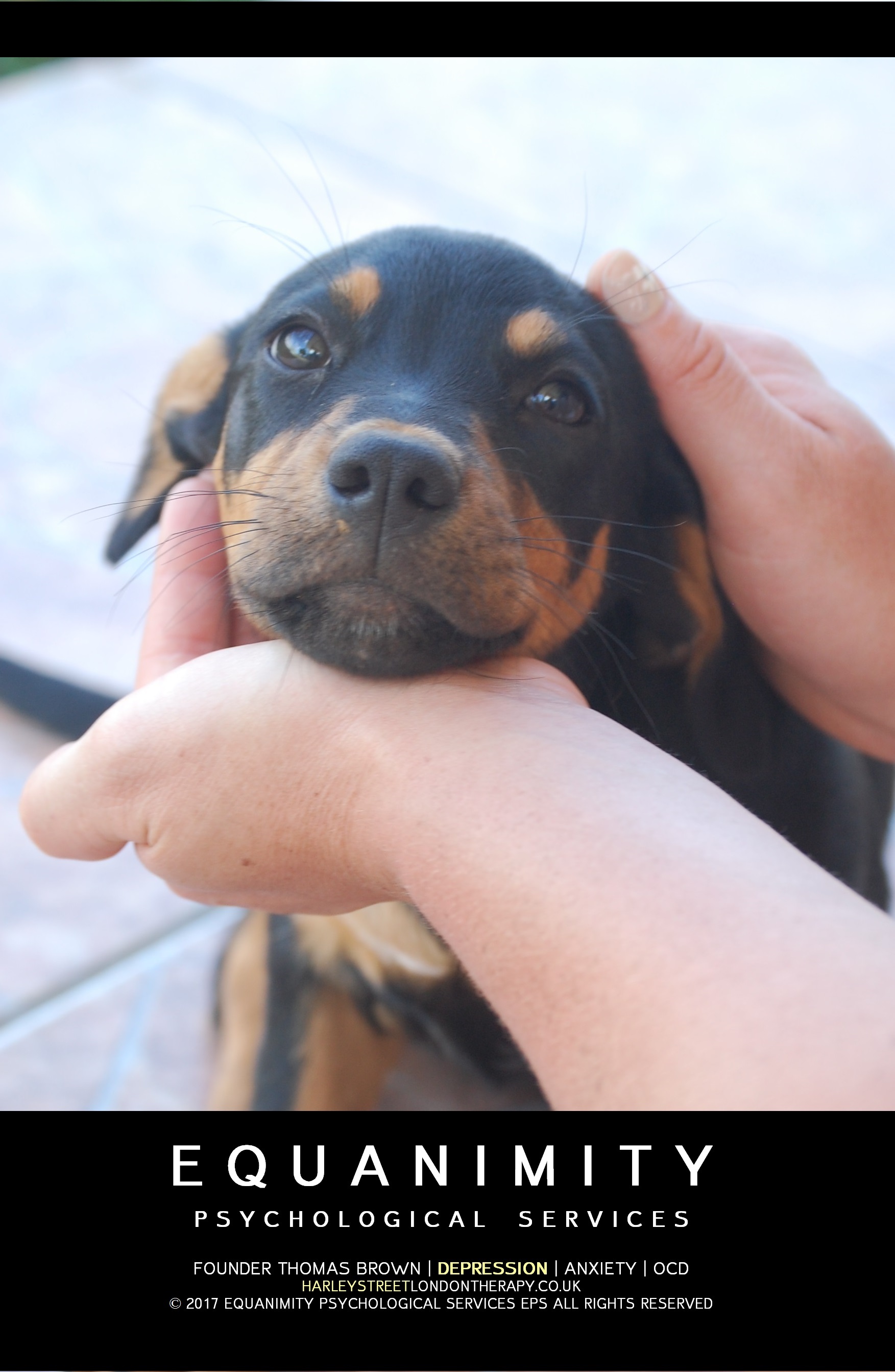  blog image - Want to Feel Happier, Healthier and Accepted? How About an Animal Companion? Celebrating Animals in the Advent of World Animal Day 4th October